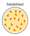 Solubilized drug format