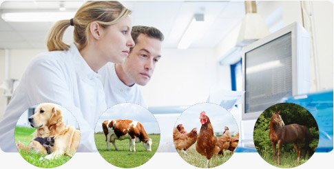 The Right Solution for Your Animal Health Challenges